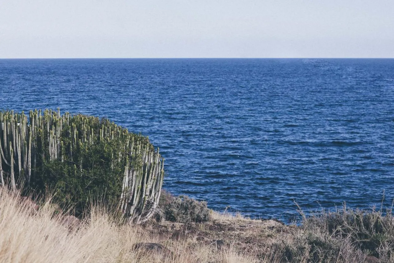 Apartment Canary Casita Next To The Atlantic Ocean Radazul Spain